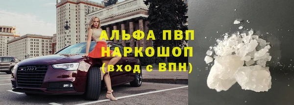 амф Бородино