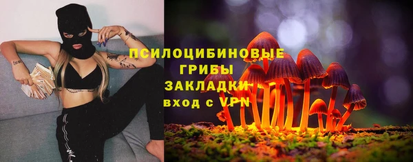 мдпв Верея