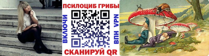 Псилоцибиновые грибы прущие грибы  Химки 